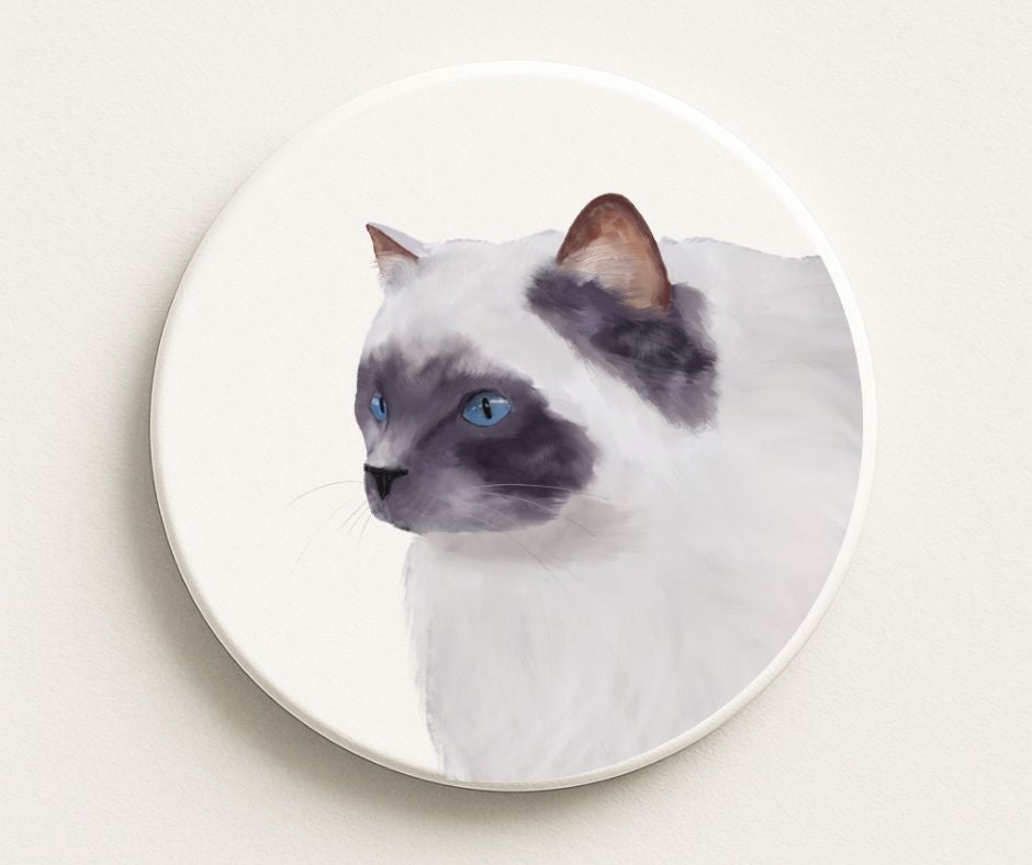 Ragdoll Cat Ceramic Coaster - MerikaArt