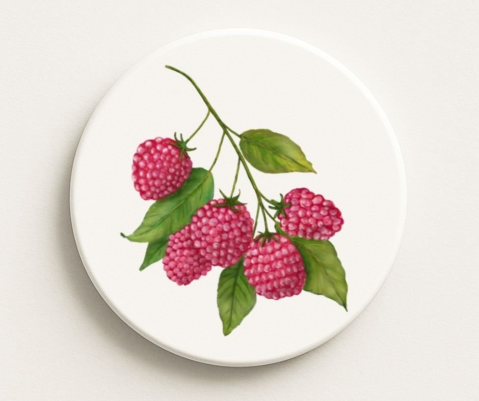 Raspberry Ceramic Coaster - MerikaArt