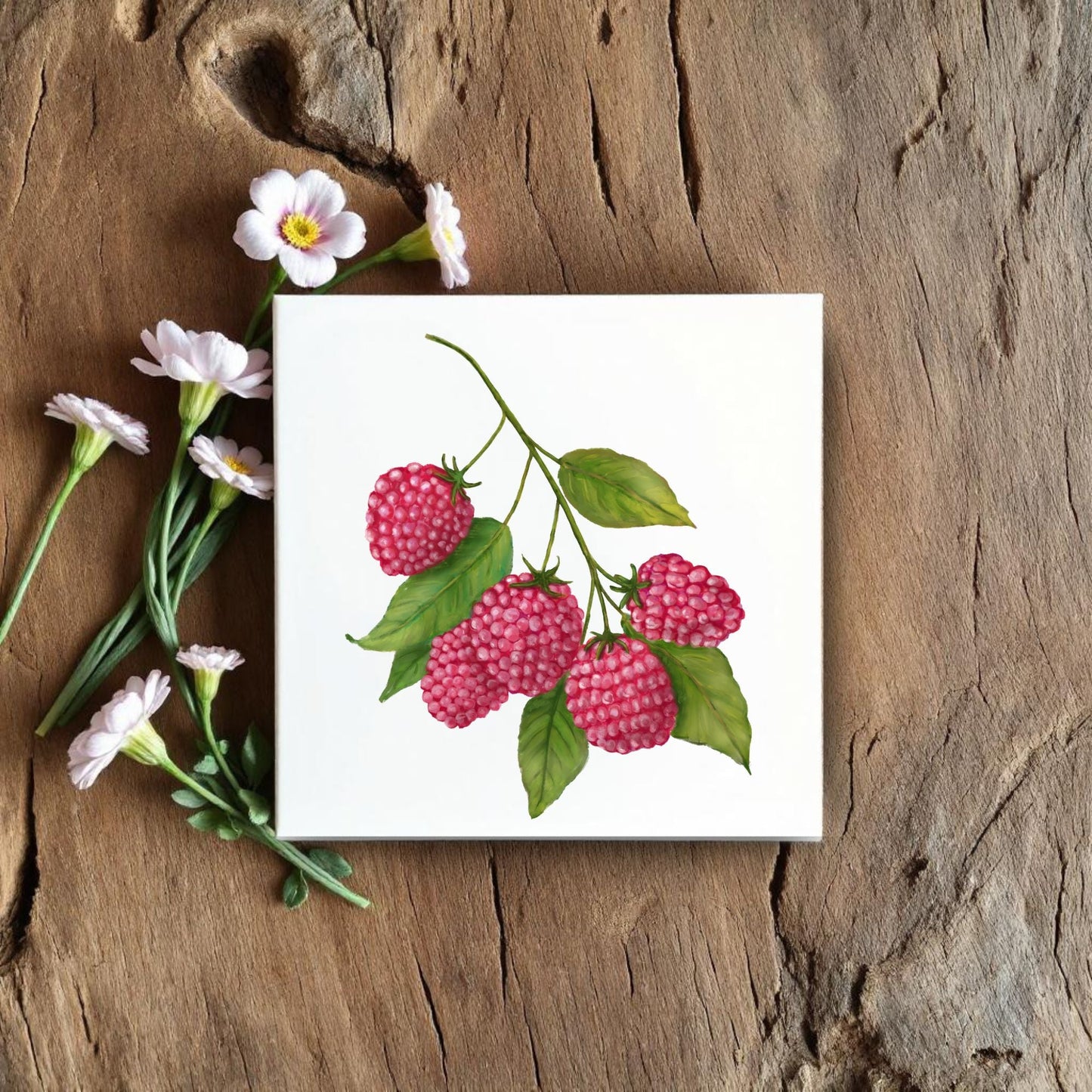 Raspberry Illustration Ceramic Tile – Handcrafted Kitchen Decor - MerikaArt