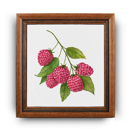 Raspberry Illustration Ceramic Tile – Handcrafted Kitchen Decor - MerikaArt