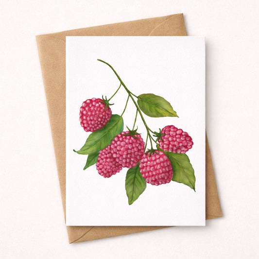 Raspberry Postcard - MerikaArt