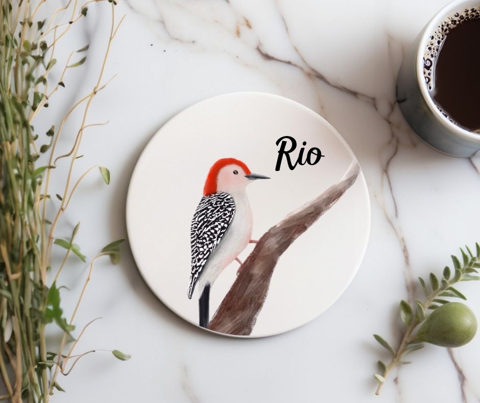 Red - bellied Woodpecker Ceramic Coaster - MerikaArt
