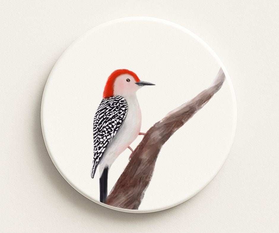 Red - bellied Woodpecker Ceramic Coaster - MerikaArt