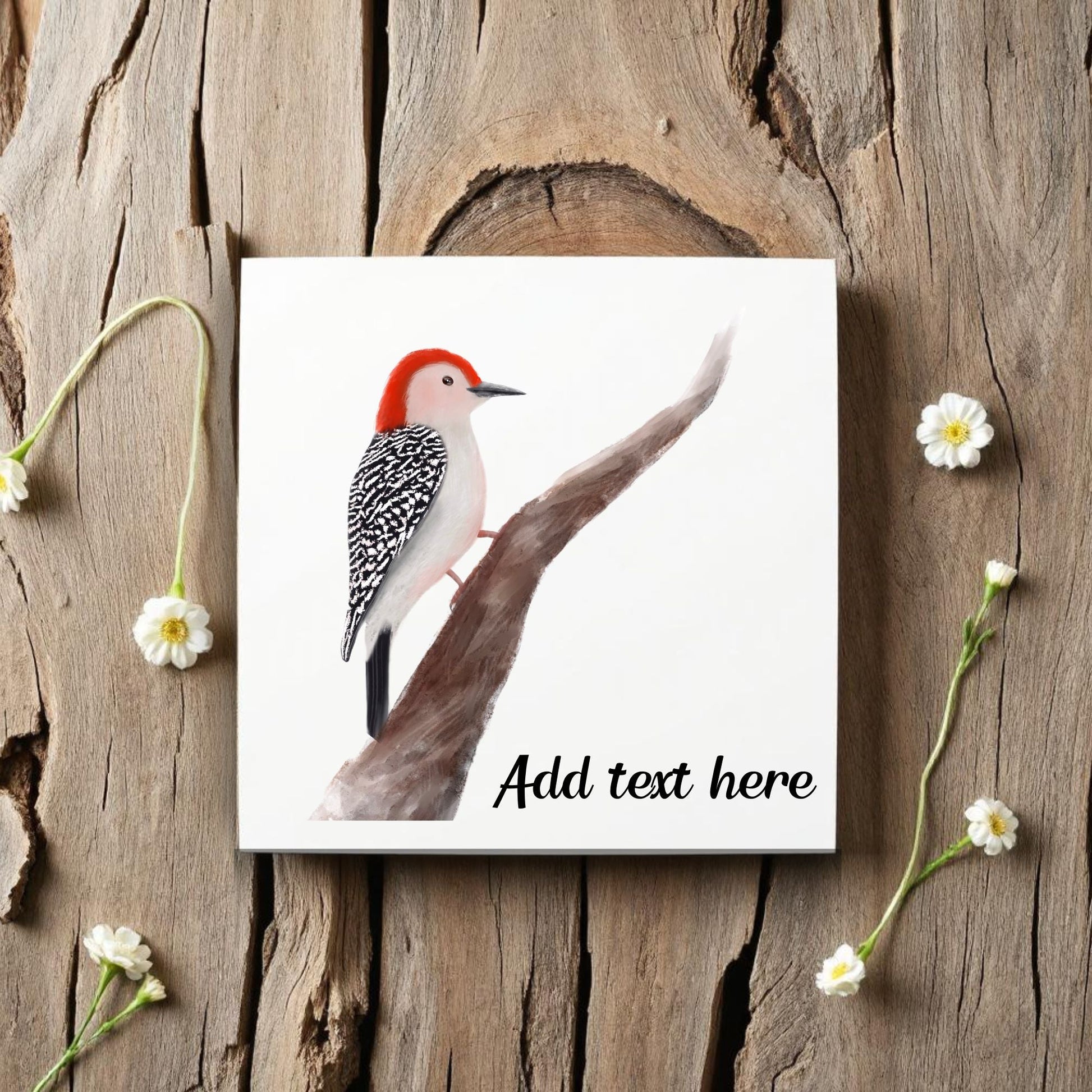 Red - Bellied Woodpecker Ceramic Tile – Handcrafted Bird Lover Artwork - MerikaArt