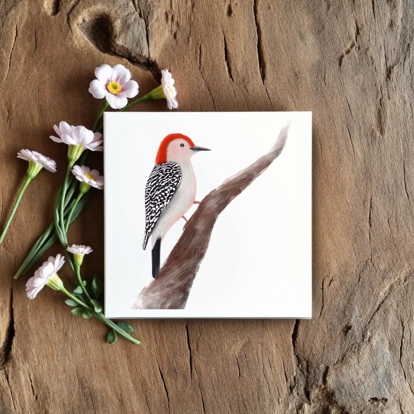 Red - Bellied Woodpecker Ceramic Tile – Handcrafted Bird Lover Artwork - MerikaArt