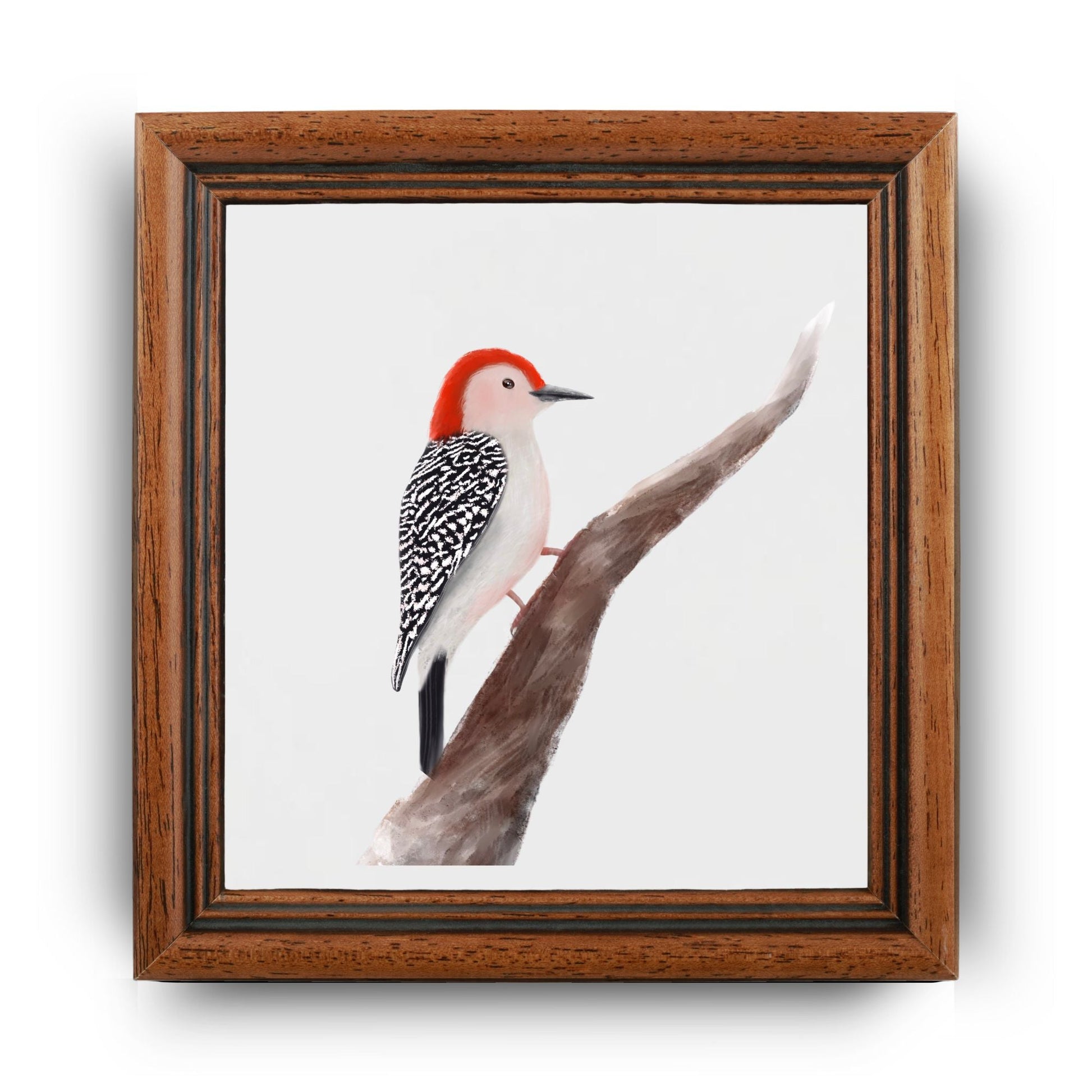 Red - Bellied Woodpecker Ceramic Tile – Handcrafted Bird Lover Artwork - MerikaArt