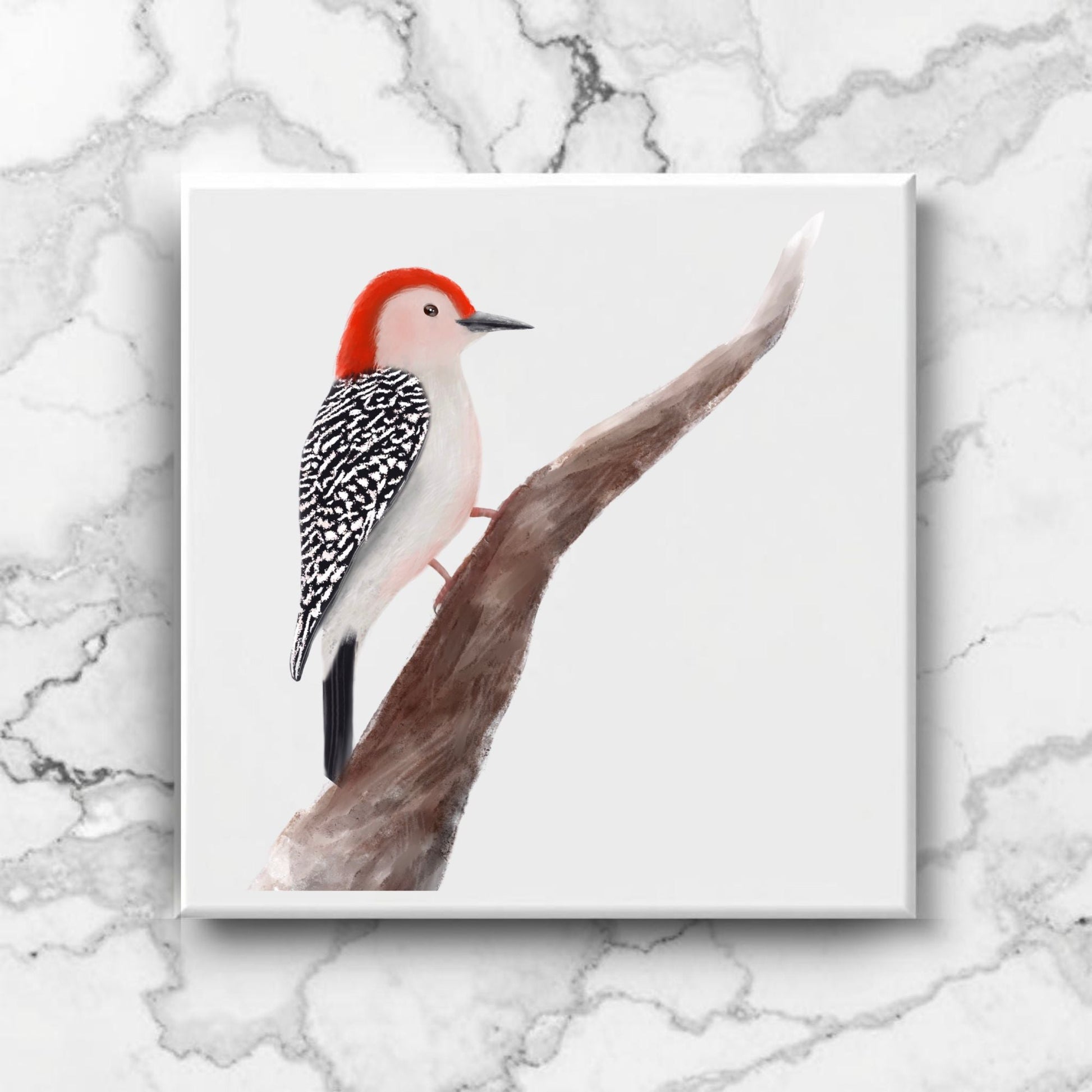 Red - Bellied Woodpecker Ceramic Tile – Handcrafted Bird Lover Artwork - MerikaArt