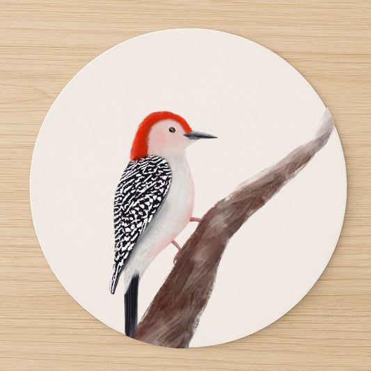 Red - bellied Woodpecker Mousepad - MerikaArt