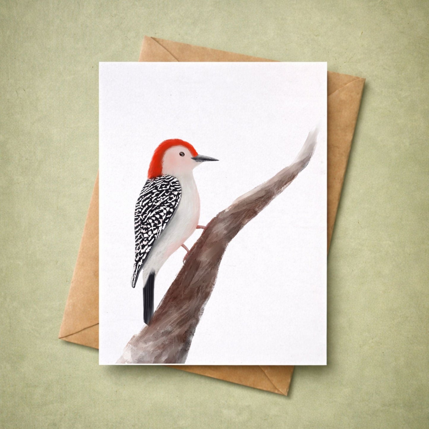 Red - bellied Woodpecker Postcard - MerikaArt
