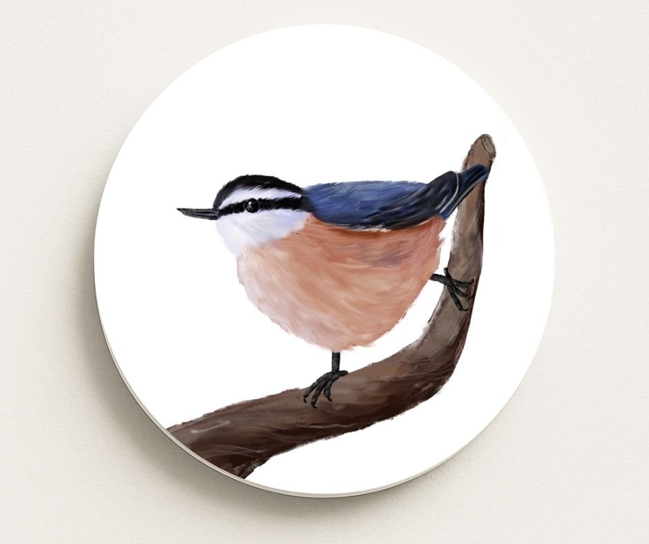 Red - breasted Nuthatch Ceramic Coaster - MerikaArt
