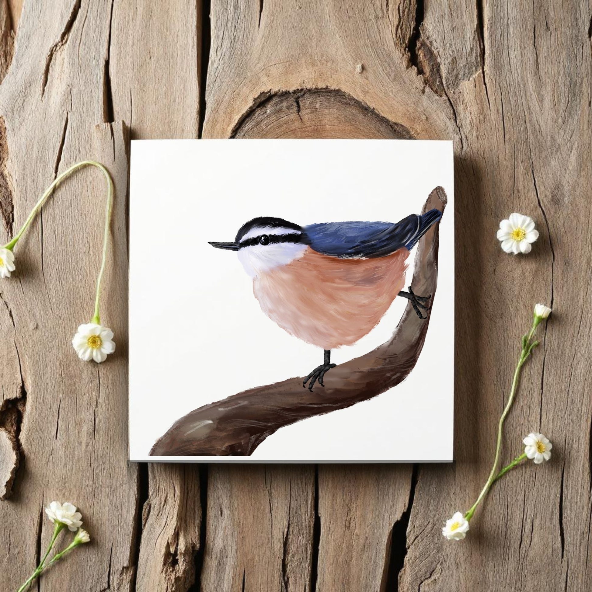 Red - Breasted Nuthatch Ceramic Tile - MerikaArt