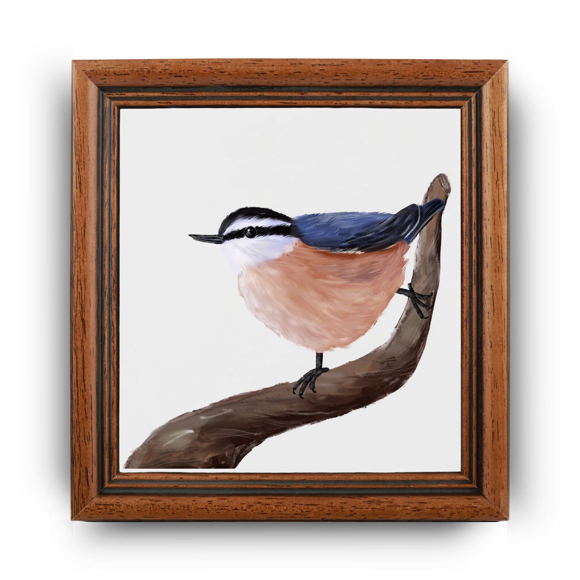 Red - Breasted Nuthatch Ceramic Tile - MerikaArt