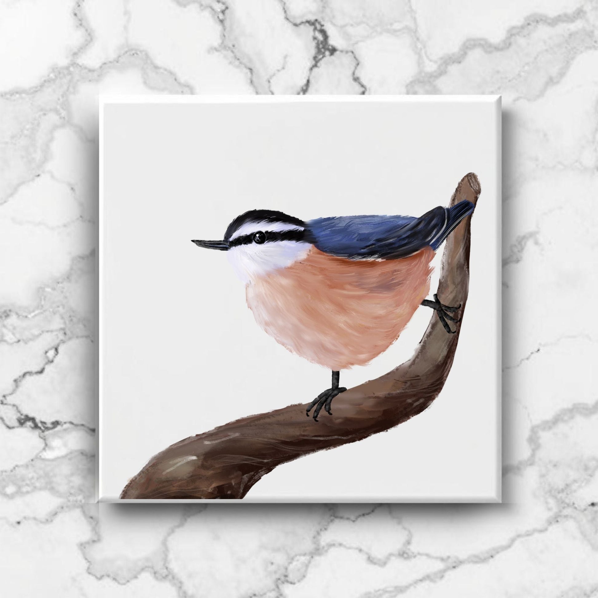 Red - Breasted Nuthatch Ceramic Tile - MerikaArt