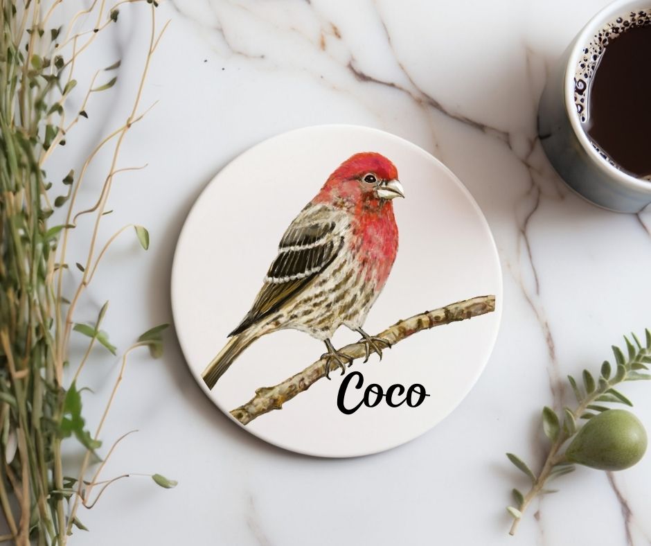 Red Finch on Branch Ceramic Coaster - MerikaArt