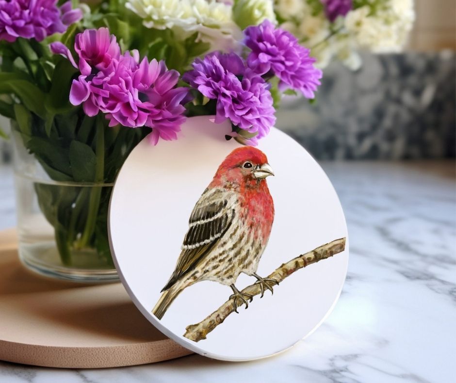 Red Finch on Branch Ceramic Coaster - MerikaArt