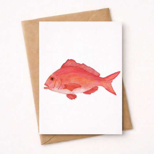 Red Snapper Fish Postcard - MerikaArt
