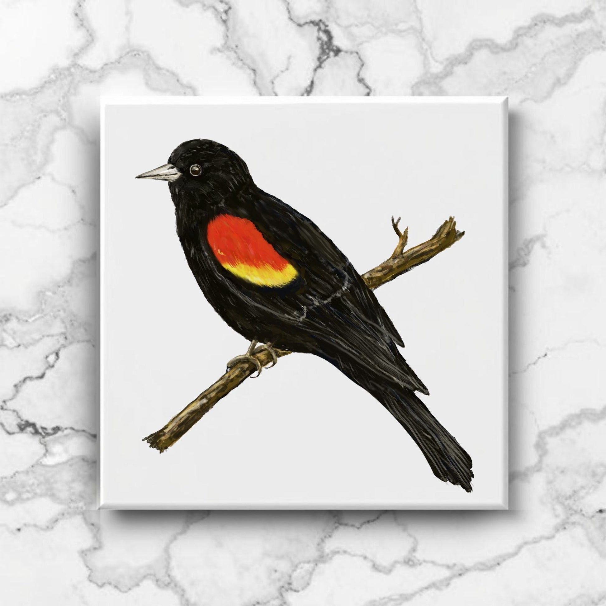 Red - Winged Blackbird Ceramic Tile - MerikaArt