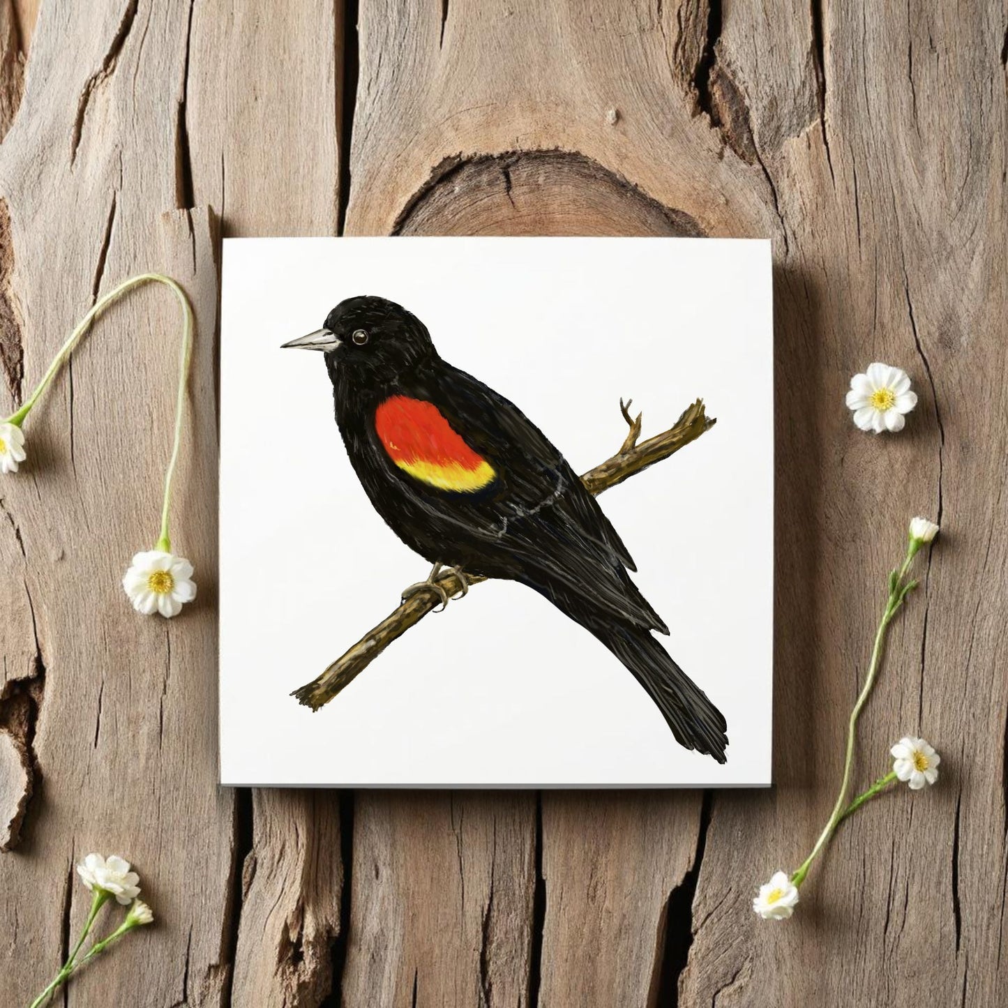 Red - Winged Blackbird Ceramic Tile - MerikaArt