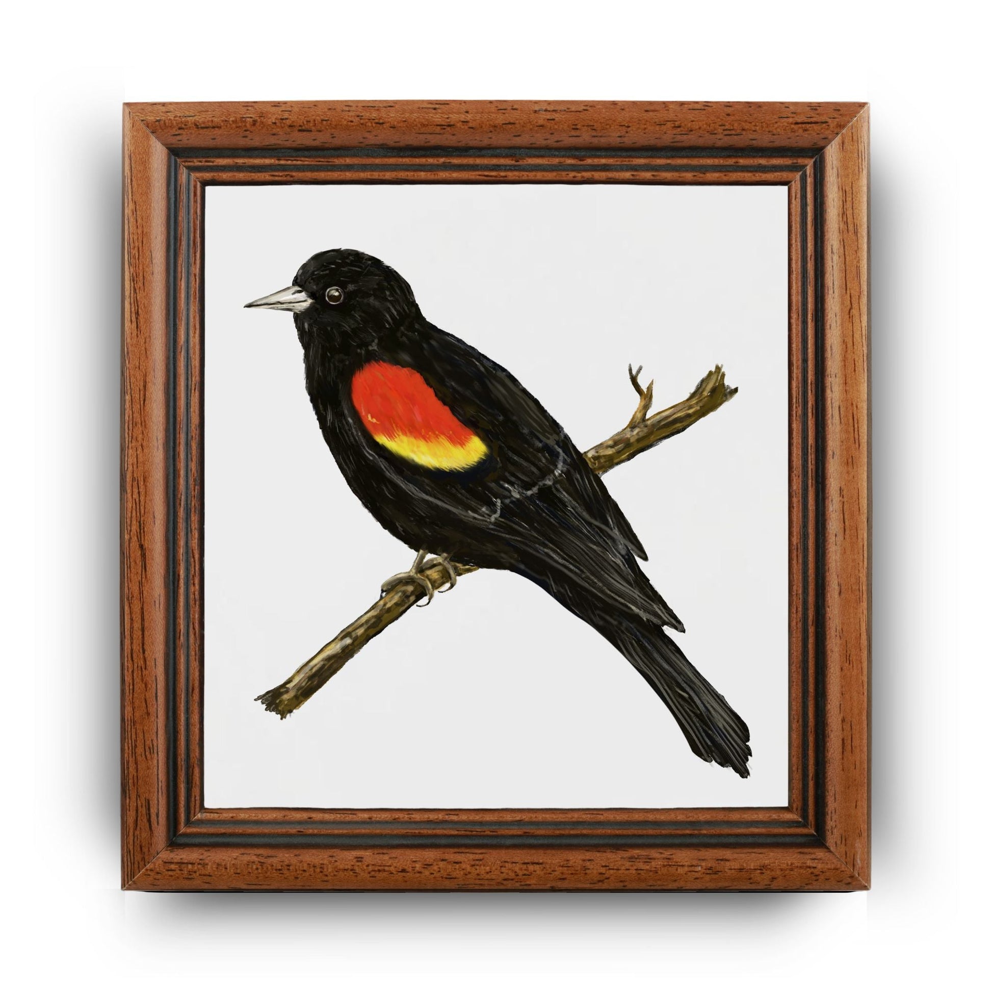 Red - Winged Blackbird Ceramic Tile - MerikaArt