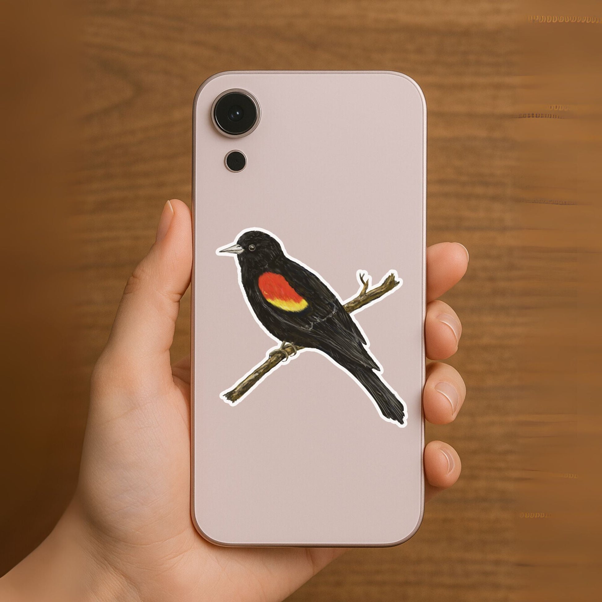 Red - winged Blackbird Sticker - MerikaArt