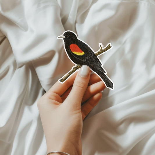 Red - winged Blackbird Sticker - MerikaArt