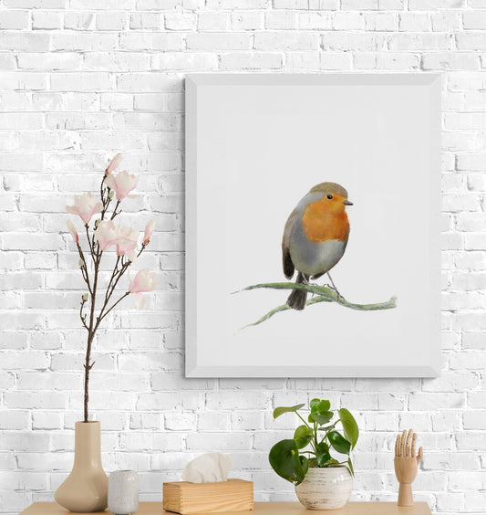 Robin Bird Print - MerikaArt