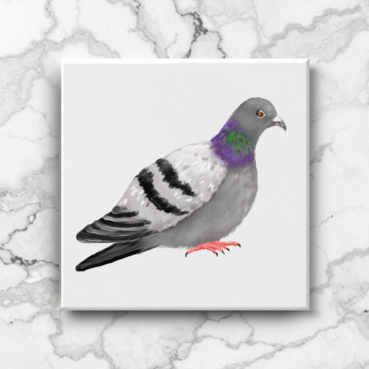 Rock Pigeon Ceramic Tile - MerikaArt