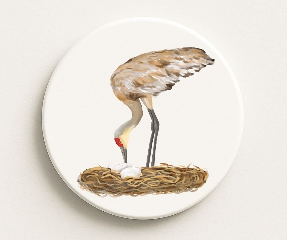 Sandhill Crane Ceramic Coaster - MerikaArt