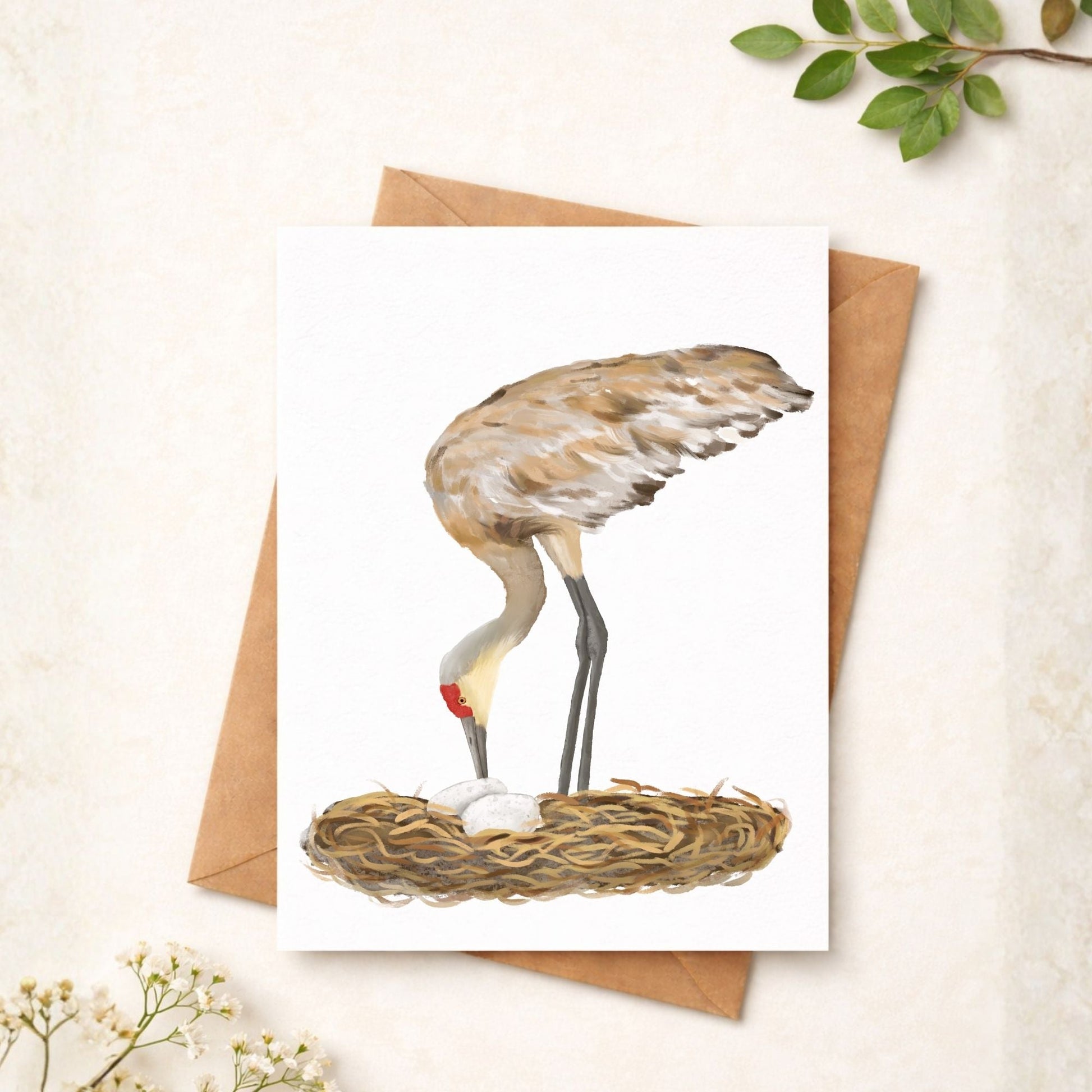 Sandhill Crane Postcard - MerikaArt