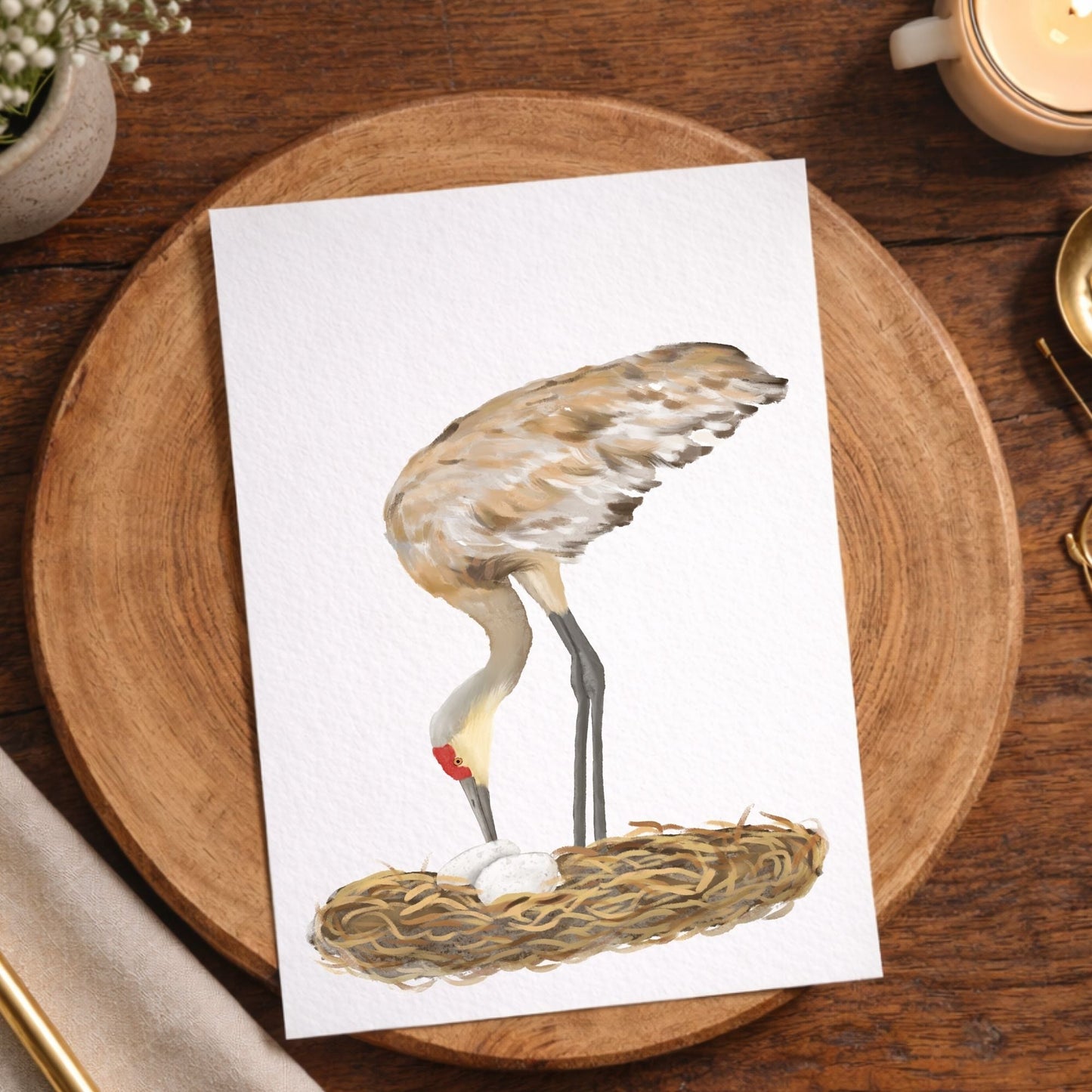 Sandhill Crane Postcard - MerikaArt