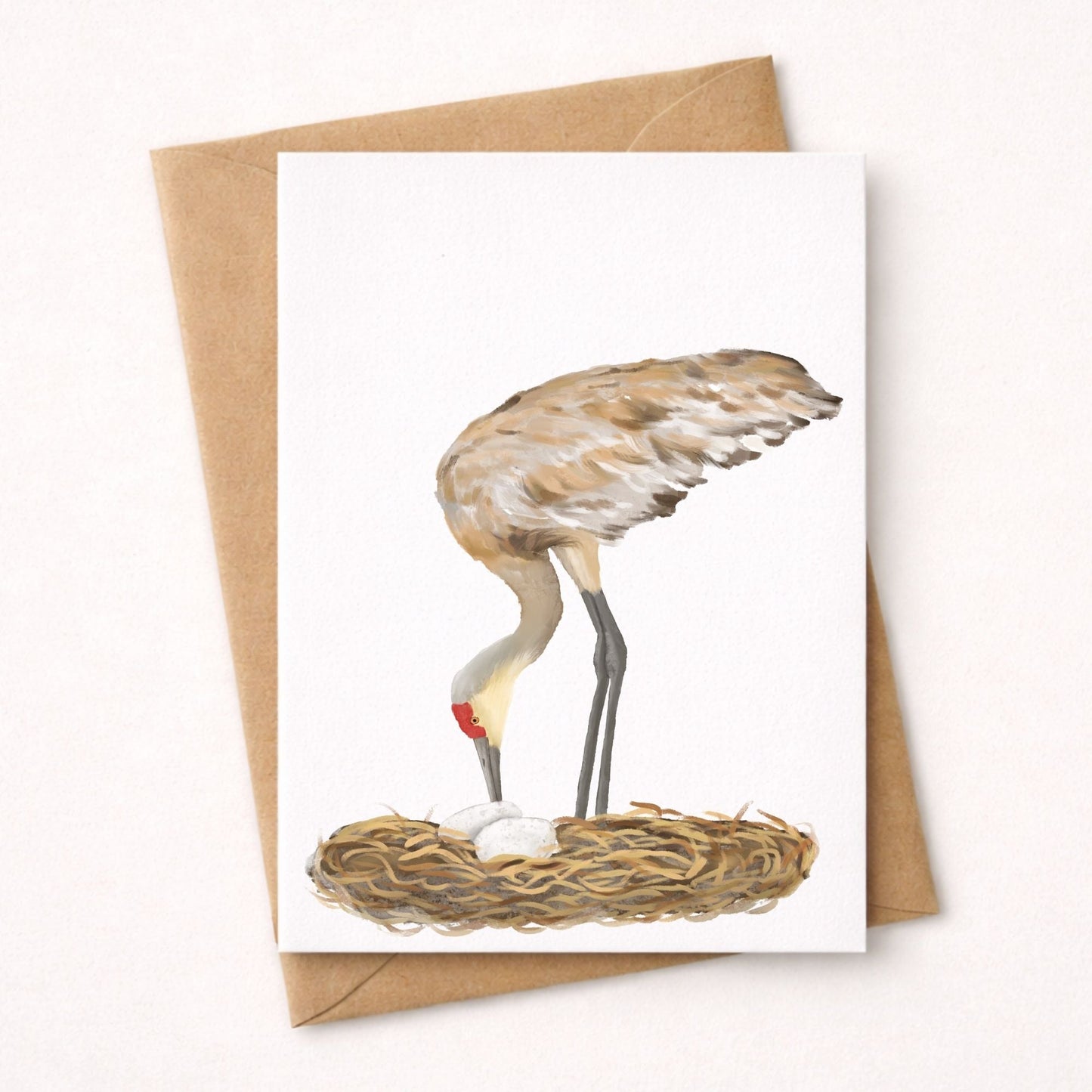 Sandhill Crane Postcard - MerikaArt