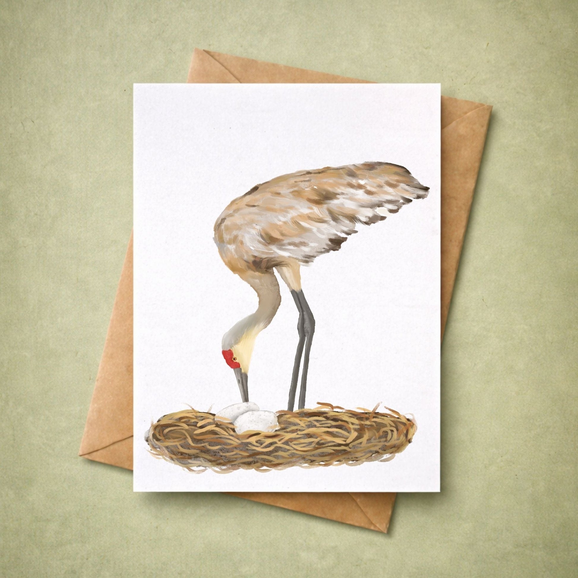 Sandhill Crane Postcard - MerikaArt