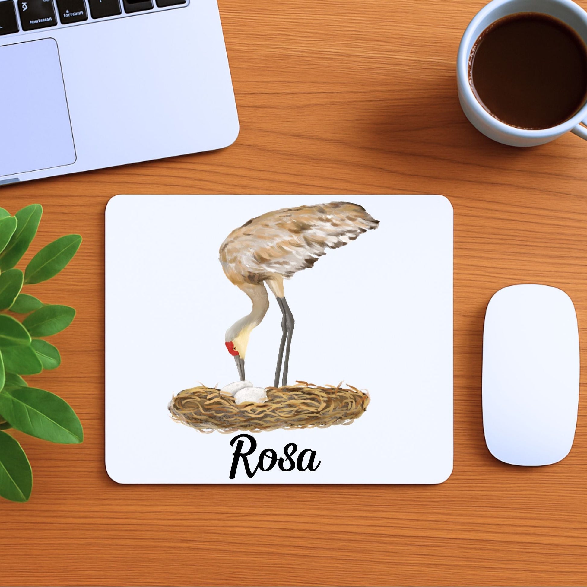 Sandhill Crane with Nest Mousepad - MerikaArt