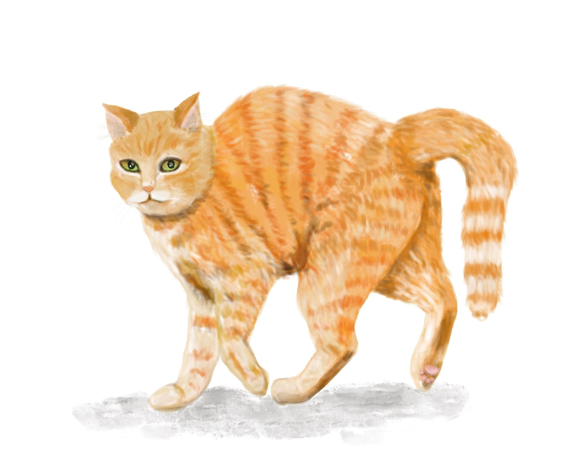 Scared Orange Cat Print, Halloween Tabby Cat Artwork, Feral Cat Drawing, Cat Illustration, Defensive Ginger Cat Painting, Holiday Wall Art - MerikaArt