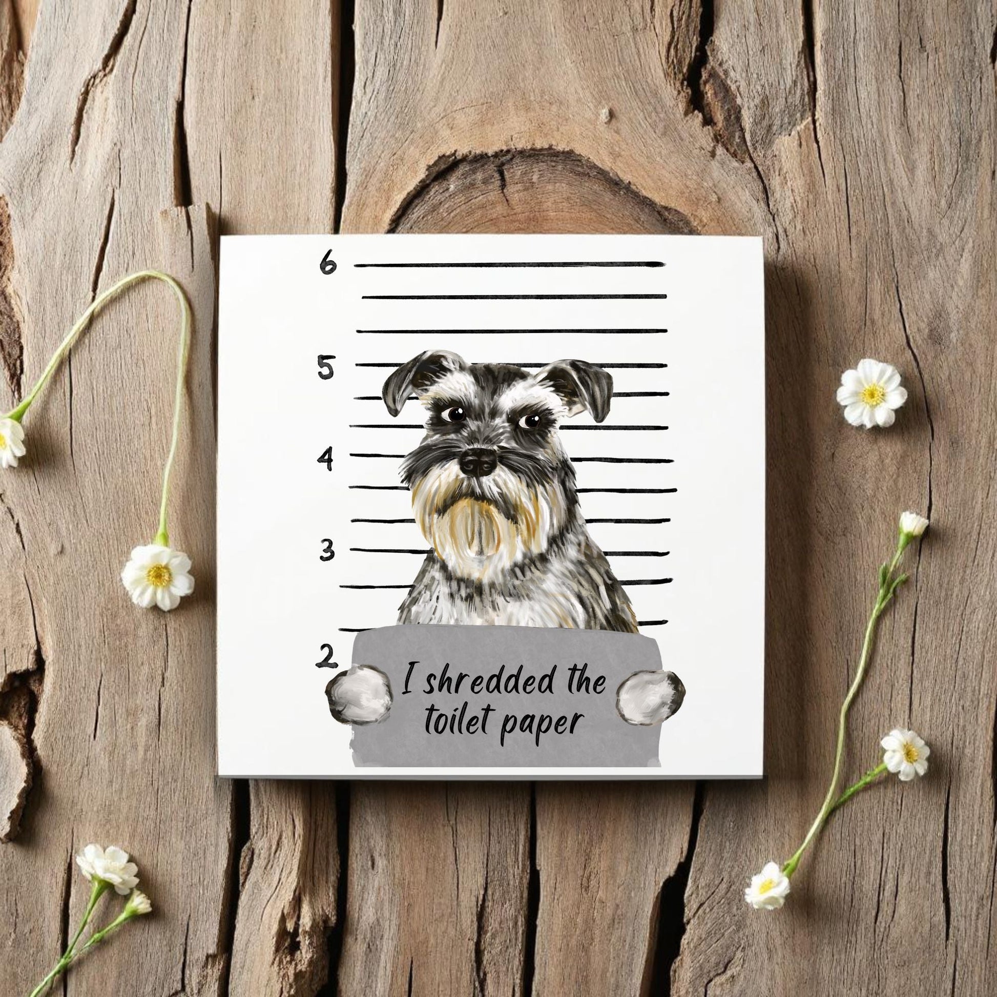 Schnauzer Mugshot Ceramic Tile - MerikaArt