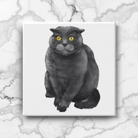 Scottish Fold Cat Ceramic Tile - MerikaArt