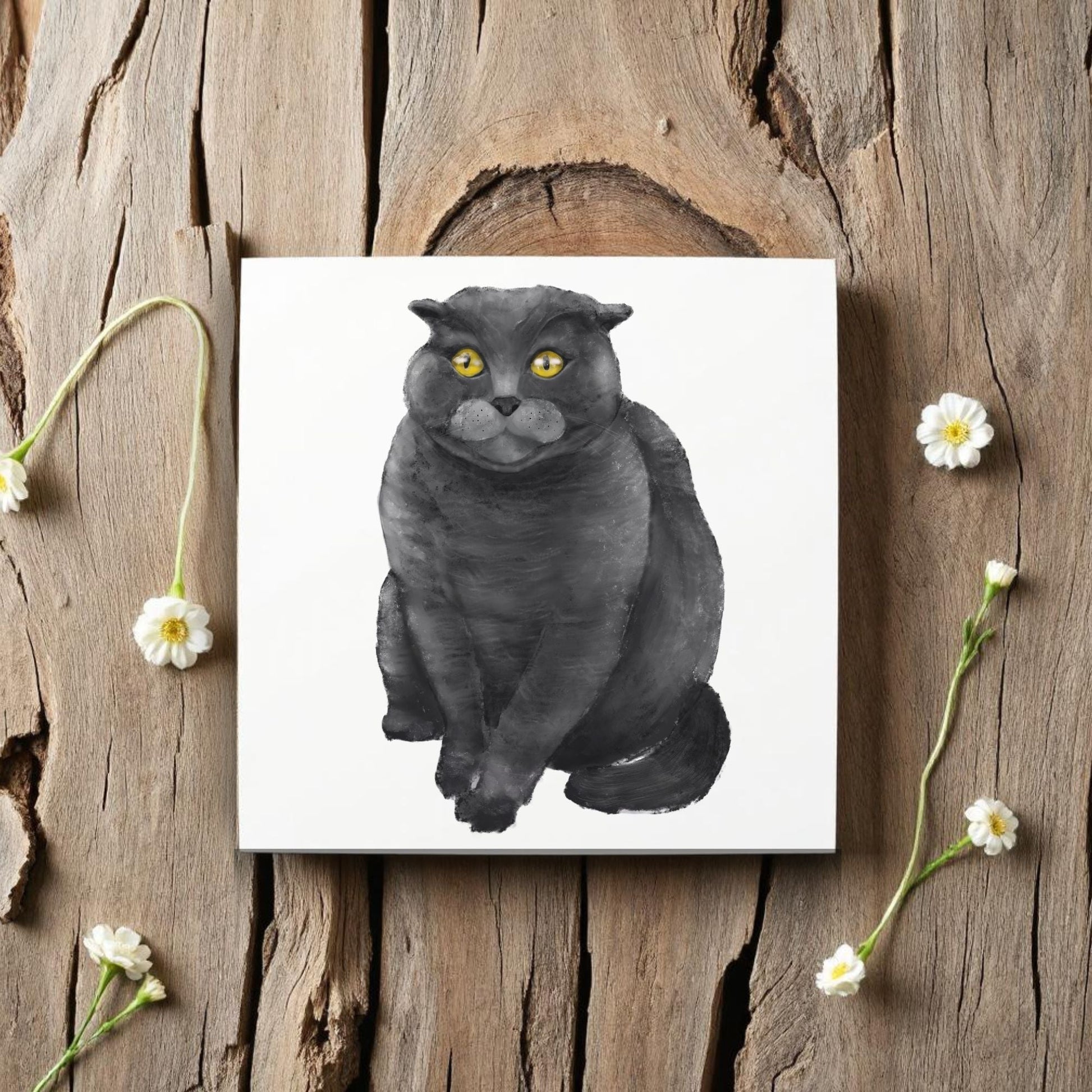Scottish Fold Cat Ceramic Tile - MerikaArt