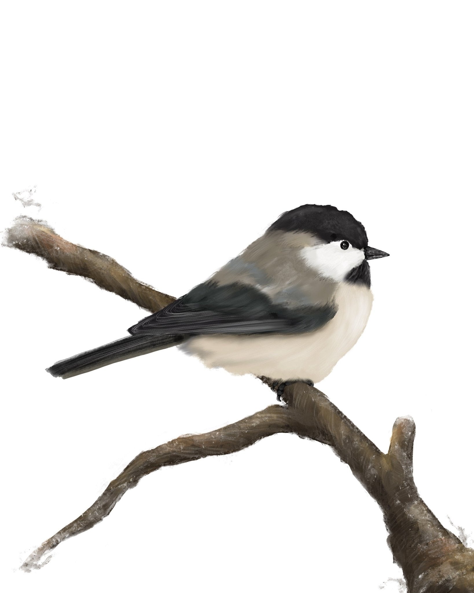 Set of 2 Chickadee Print, Bird Painting, Small Bird Art, Backyard Birds, Bird on Branch, Living Room Wall Art, Bird Watcher Gift, Home Decor - MerikaArt