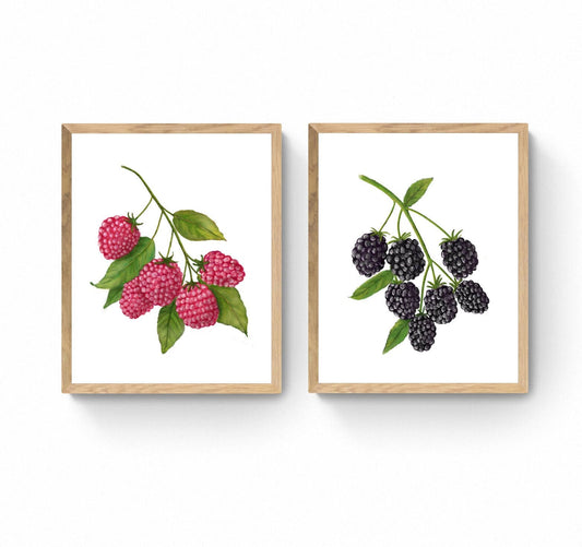 Set of 2 Raspberry Blackberry Art Print, Kitchen Wall Hanging, Dining Room Decor, Berry Painting, Fruit Illustration, Farmhouse Wall Decor - MerikaArt