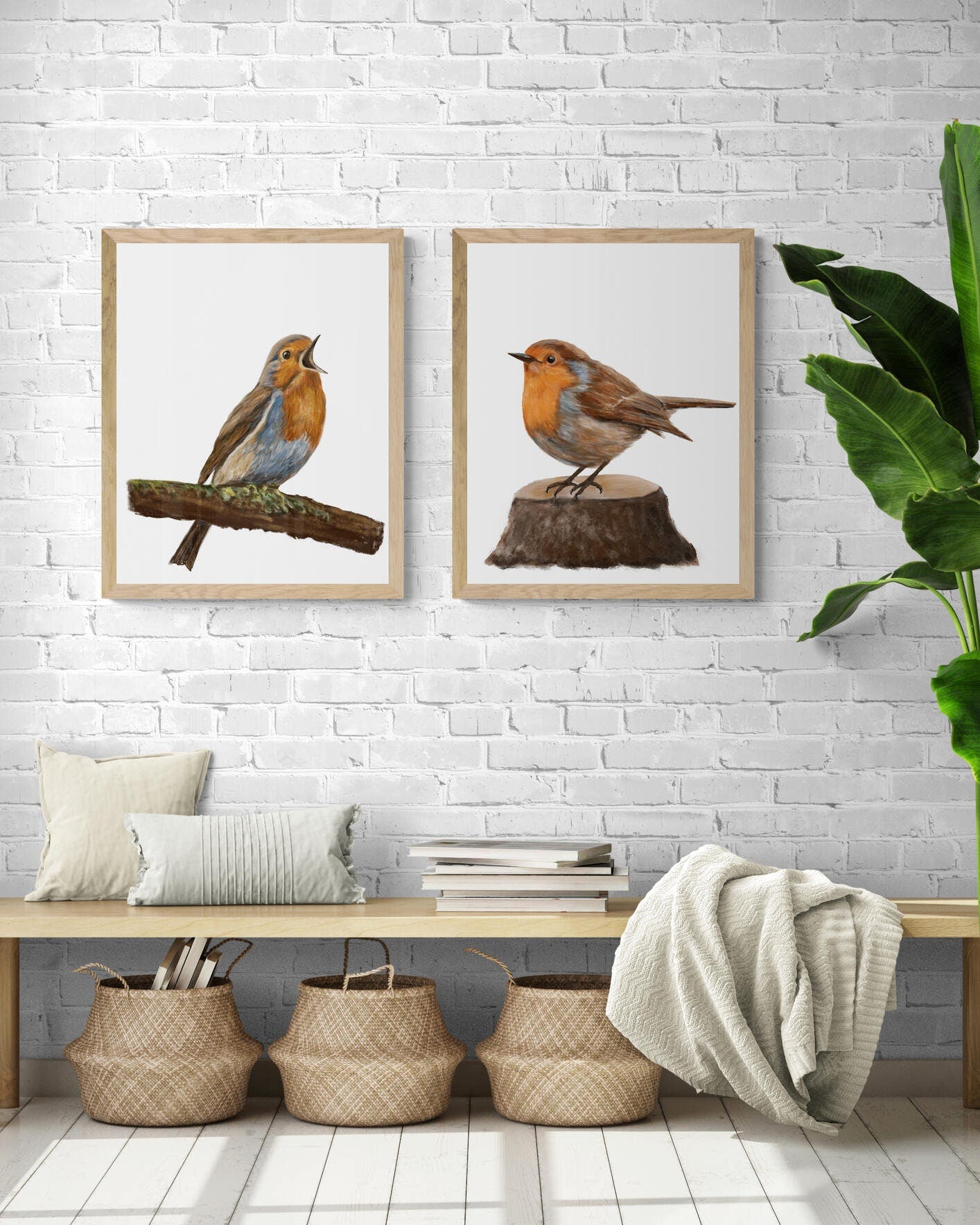 Set of 2 Robin Bird Prints, Robin Bird Painting, Red Bellied Bird Print, Robin Holiday Print, Living Room Art, Bird Print Gift, Mom Gift - MerikaArt