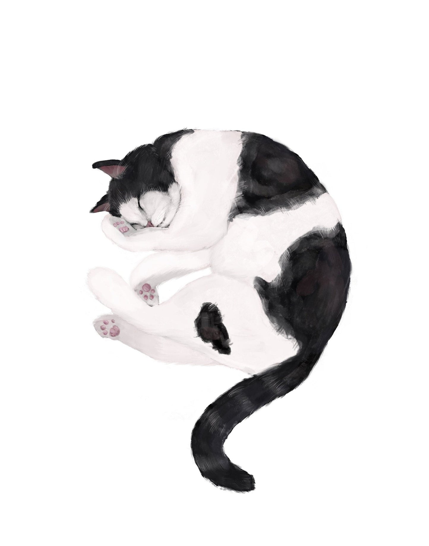 Set of 2 Tuxedo Black and White Cat Print - MerikaArt