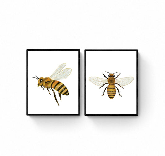 Set of 2 Wild Honey Bee Prints, Honeybee Portrait, Living Room Art, Home Decor, Wildlife Artwork, Animal Lover Gift, Kitchen Wall Painting - MerikaArt