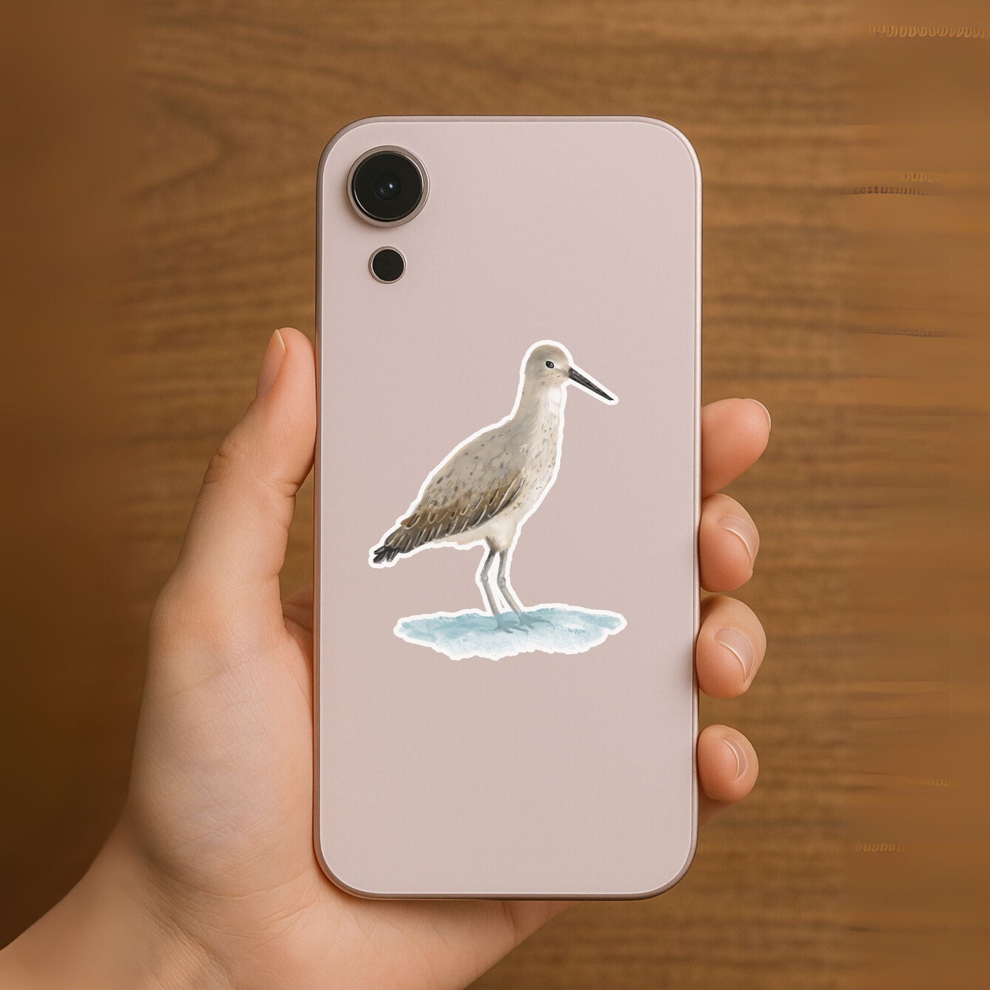 Shorebird Sticker - MerikaArt