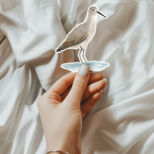 Shorebird Sticker - MerikaArt