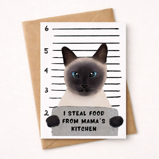 Siamese Cat Mugshot Postcard - MerikaArt
