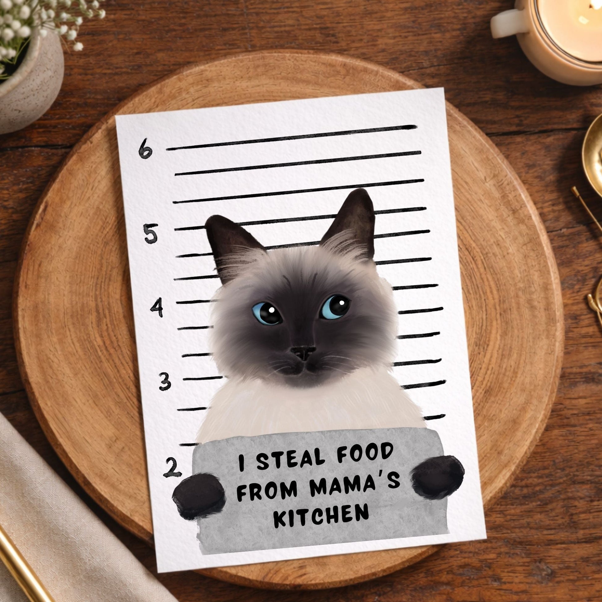 Siamese Cat Mugshot Postcard - MerikaArt