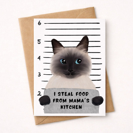 Siamese Cat Mugshot Postcard - MerikaArt