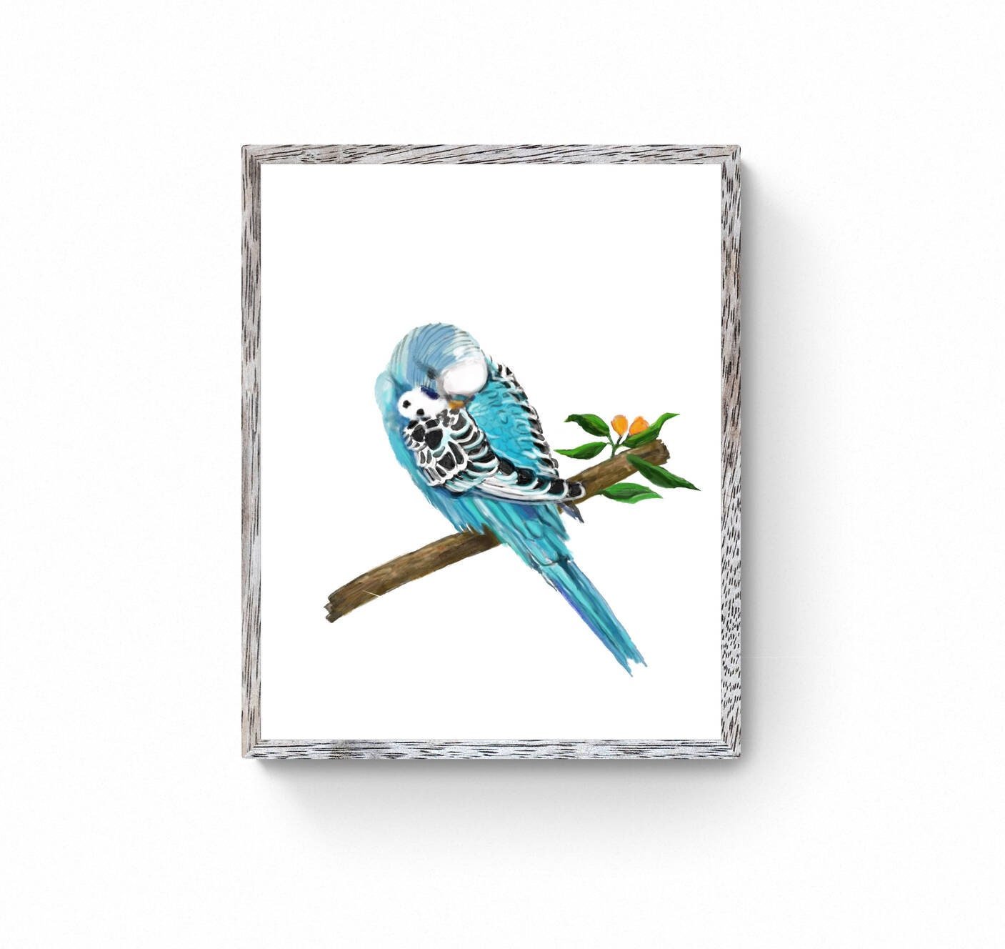 Sleeping Blue Parakeet, Blue Budgie Resting, Blue Bird Memorial, Tropical Bird Art, Bird Lover Gift, Animal Wall Artwork, Bird Illustration - MerikaArt