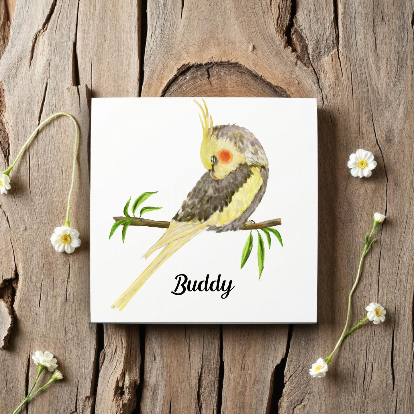 Sleeping Cockatiel Ceramic Tile – Handcrafted Bird Artwork - MerikaArt