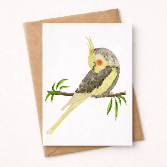 Sleeping Cockatiel Postcard - MerikaArt